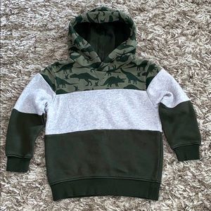 H&M little boys hoodie